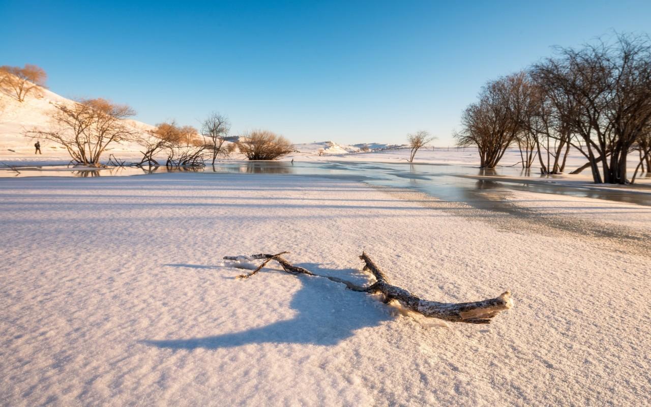 大雪节气的诗句古诗大全精选