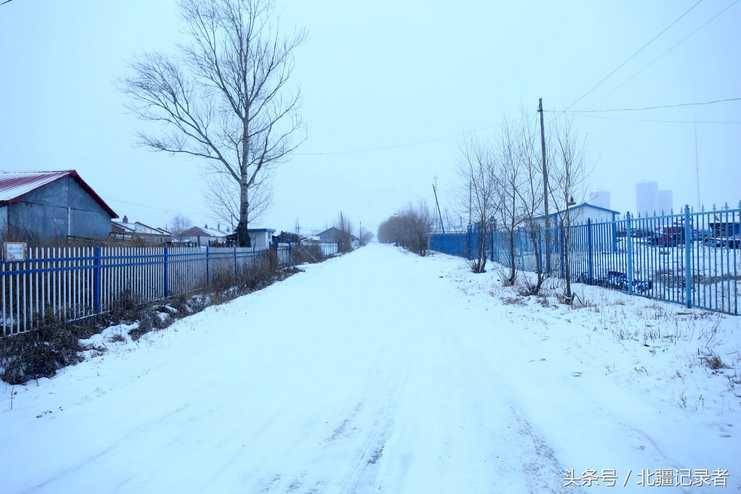 东北小屯子被白雪覆盖,宅基地有半晌地大,车子披棉被,街道空空
