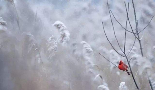 日历小雪是小寒吗还是大寒呢？