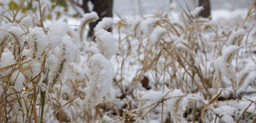 日历小雪是小寒吗还是大寒呢？