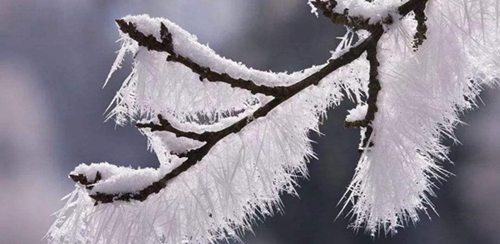 日历小雪是小寒吗还是大寒呢？