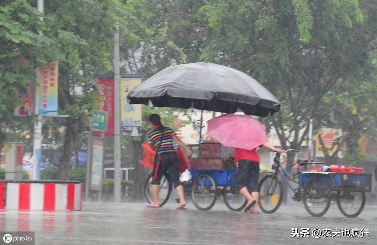 立冬有雨一冬寒立冬无雨一冬暖是什么意思（立冬这天晴与阴雨有什么说法?）