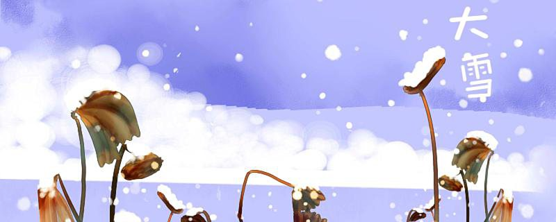 雨夹雪能上高速吗(雨夹雪天气高速安全吗)