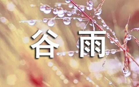 历年谷雨节气的日期是几月几号（每年谷雨都是4月20日吗）