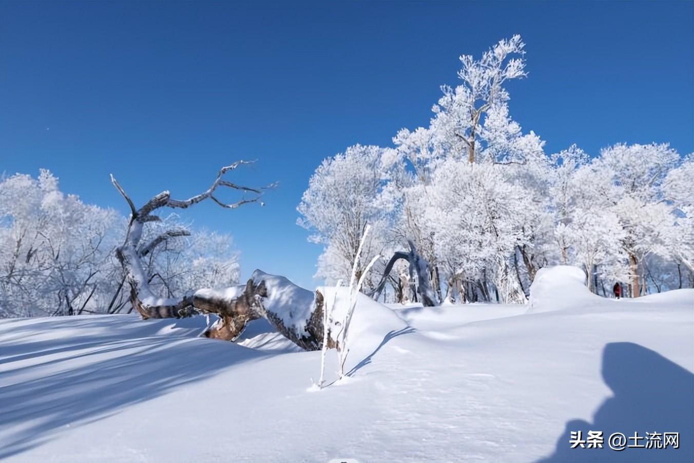 大雪节气不下雪有什说法吗，预示着今年什么天气？