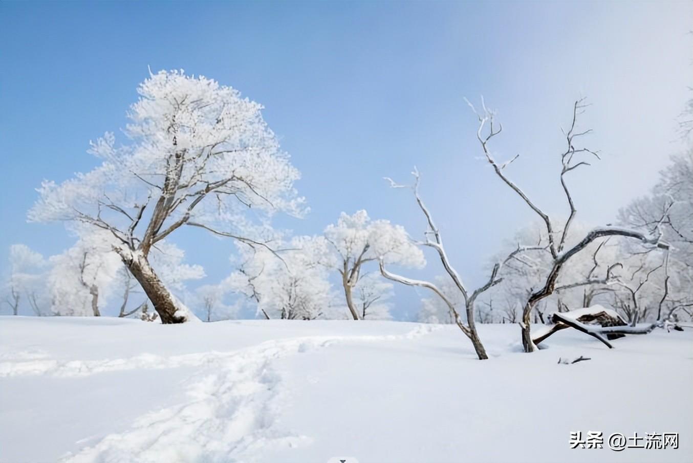 大雪节气不下雪有什说法吗，预示着今年什么天气？