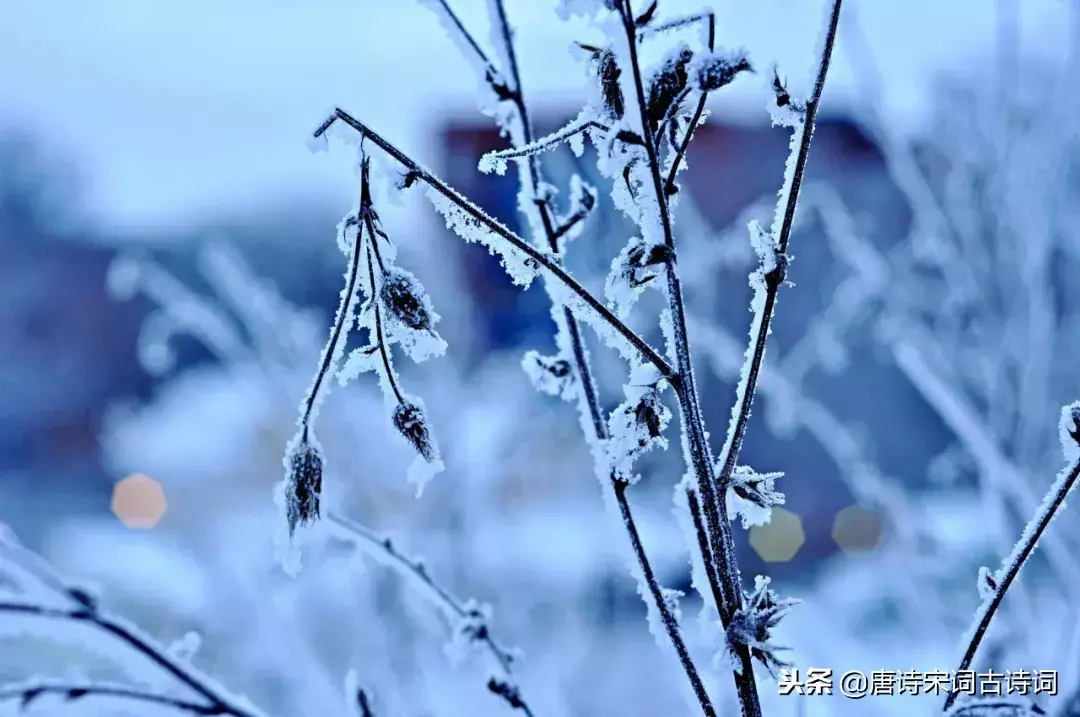 描写大雪纷飞的诗句古诗（描写冬天白雪纷飞的诗句）