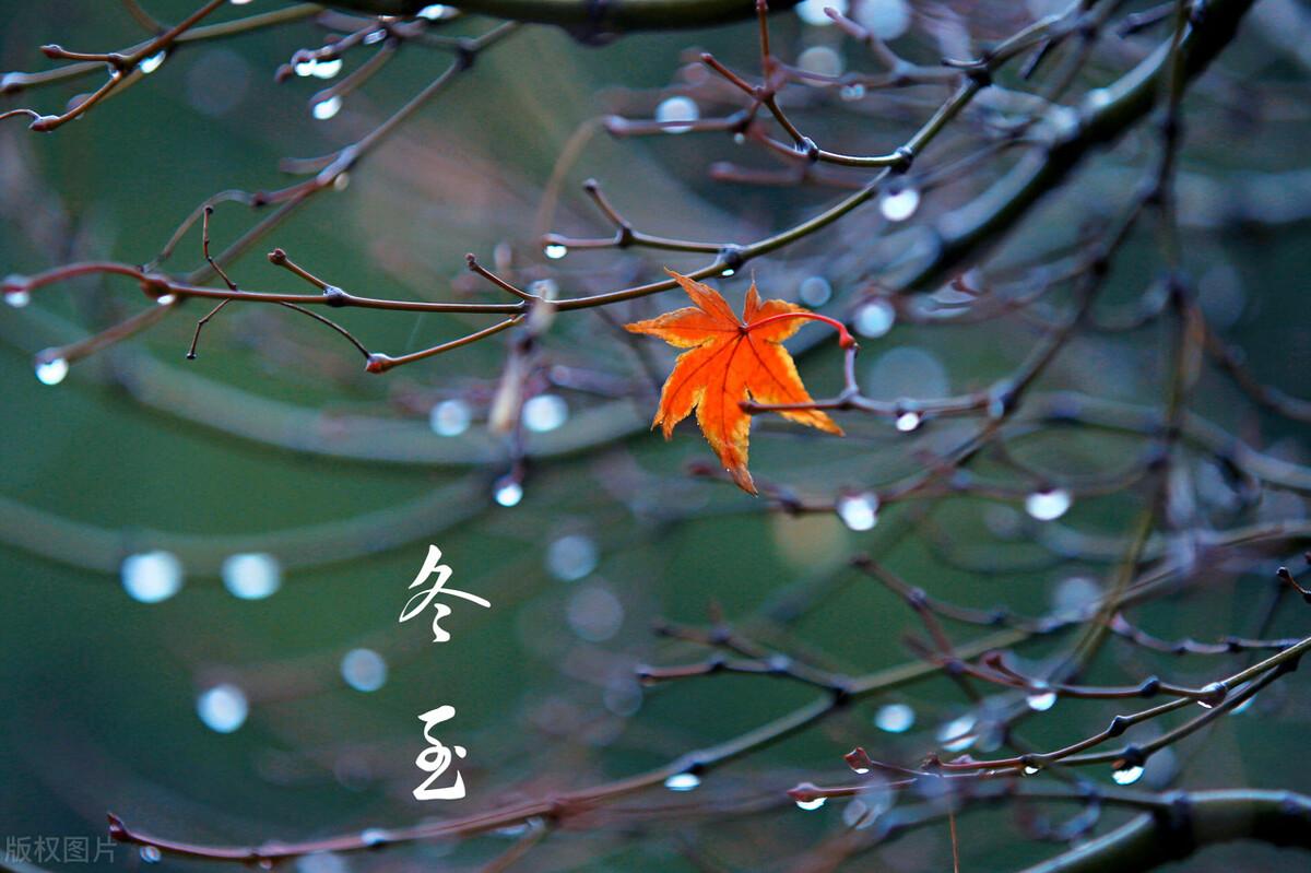 冬至月尾的老话怎么说(冬至在月尾,卖牛去买被是什么意思)