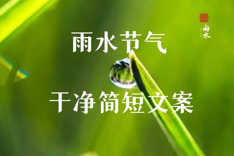 雨水节气朋友圈文案简短温馨（适合雨水节气发朋友圈的句子）