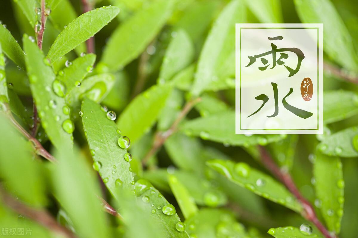 雨水节气朋友圈文案简短温馨（适合雨水节气发朋友圈的句子）