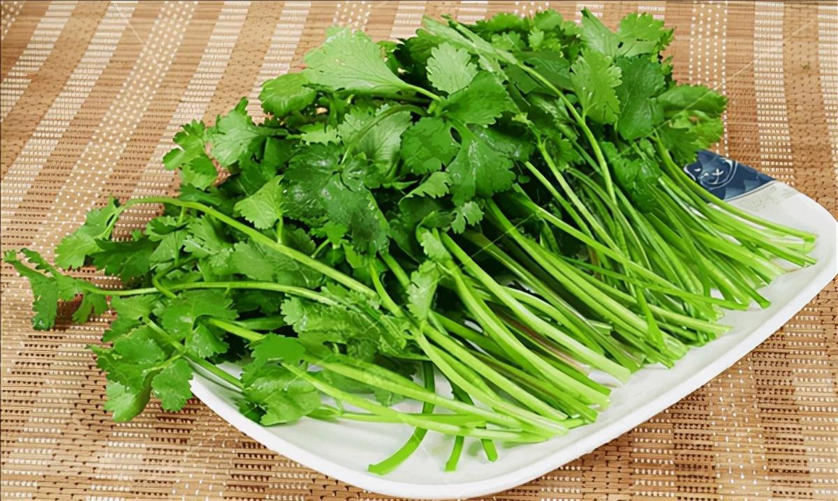 世界讨厌香菜日是哪一天?世界讨厌香菜日的由来