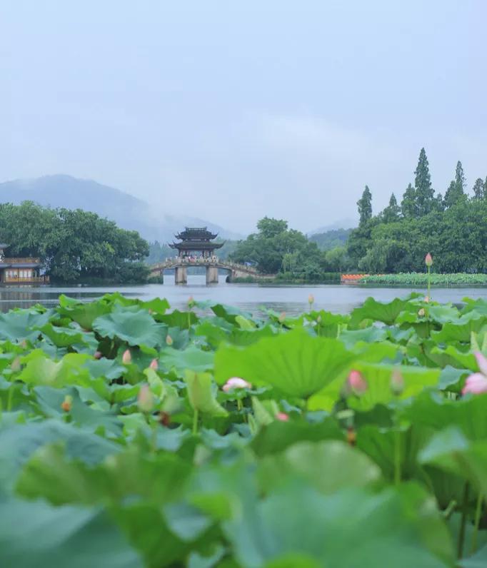 小学生写景文章——美丽的西湖/我眼中的西湖