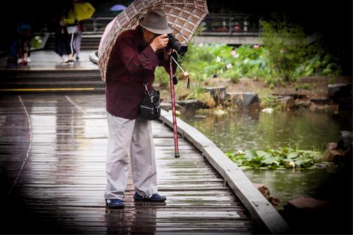 小学满分作文《一个夏日的早晨》窗外雨淋洒，善良暖人心