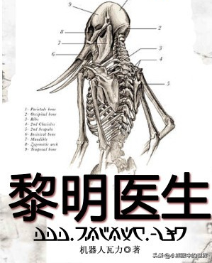 黎明医生：一本优秀的克苏鲁小说，一部关于生命、关于拯救的故事