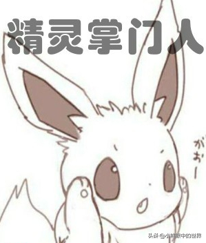 轻泉流响小说精灵掌门人主要内容简介和读后感