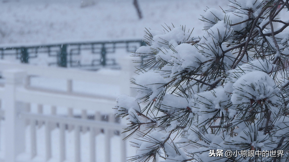 战疫在寒冷的季节，总会有那一抹温暖的阳光热乎我们的心头