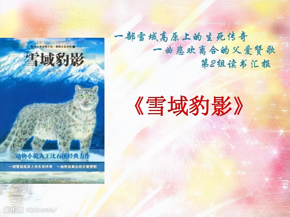 《雪域豹影》读后感|虽然不是亲生,也要爱你一生