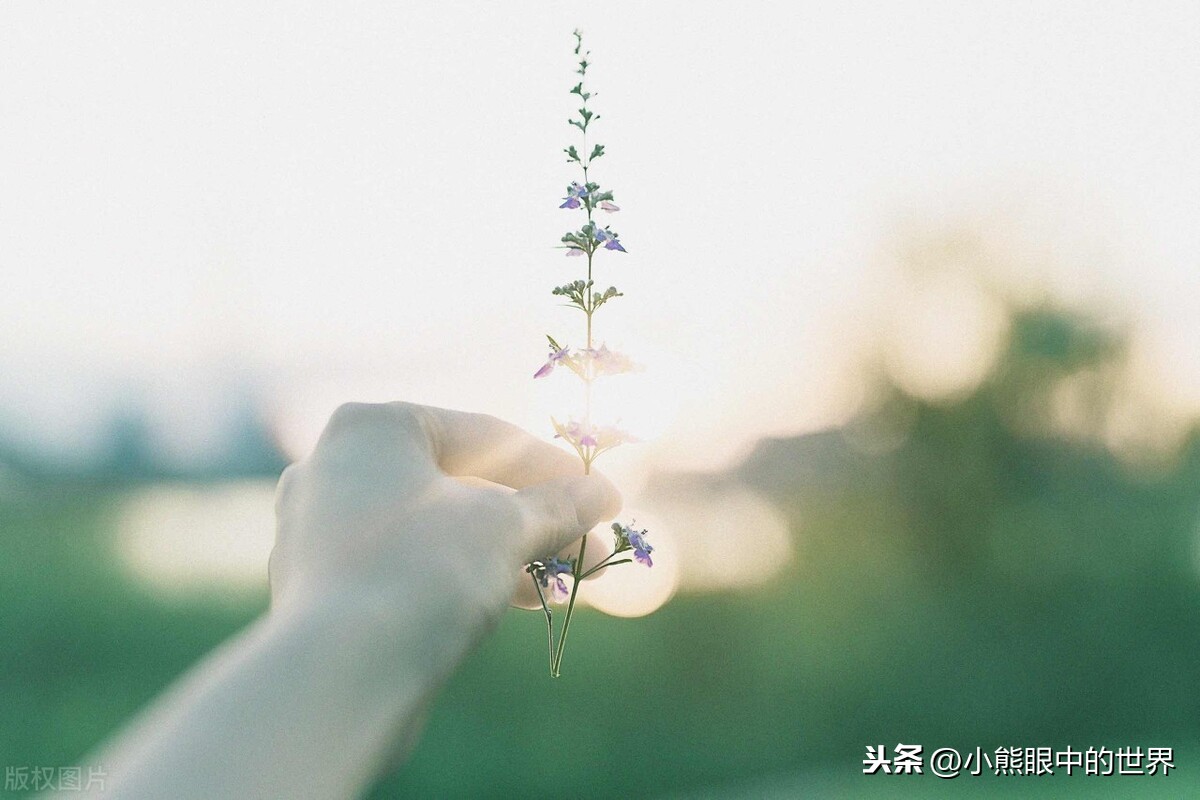 余烬之铳：每个人都有自己的使命；痛，不重要，痛快才是最重要的