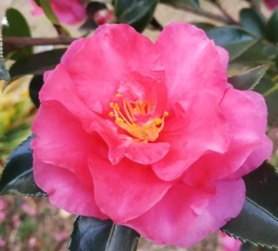 寻爱，却不知爱时时在