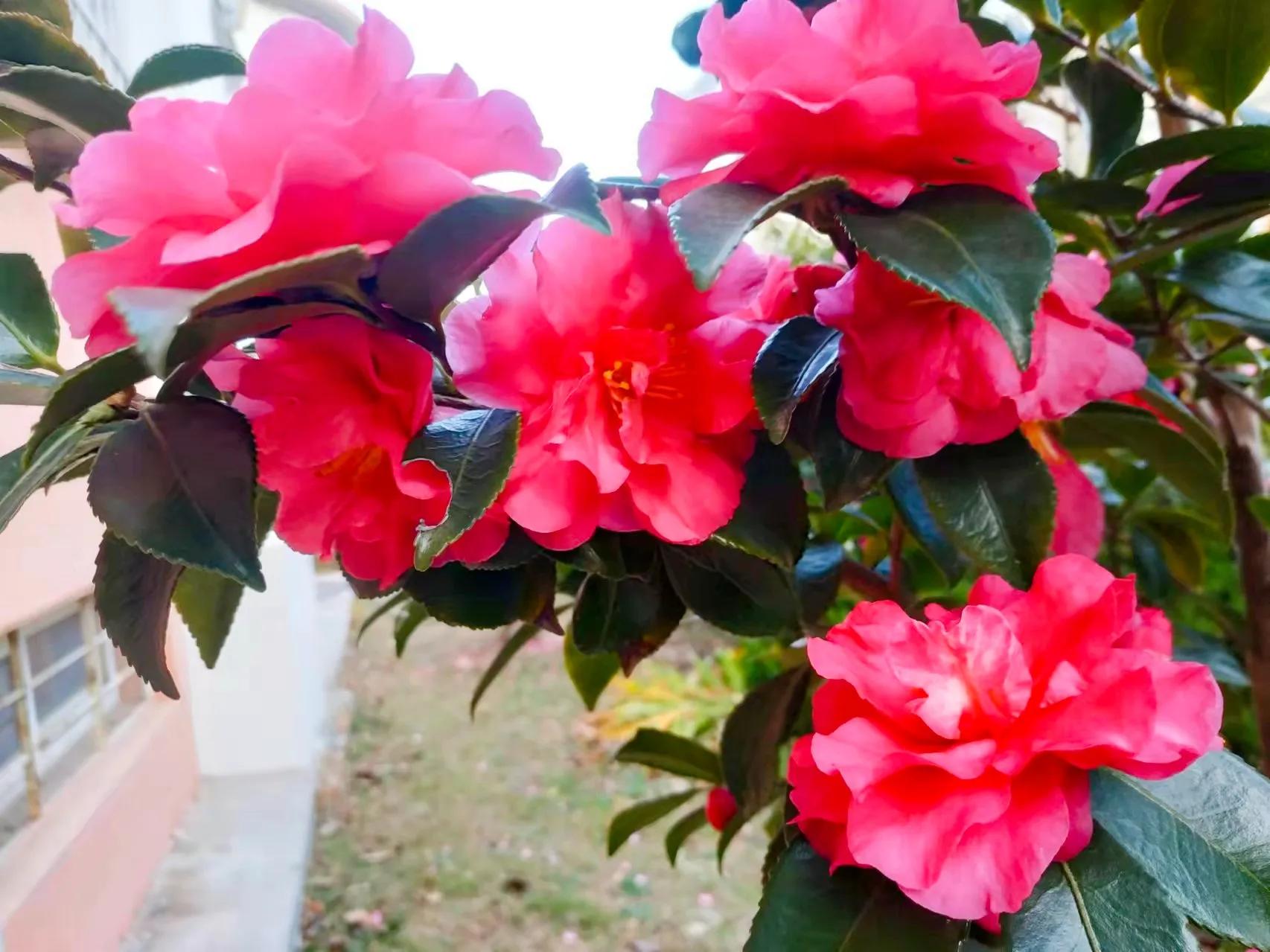 寻爱，却不知爱时时在