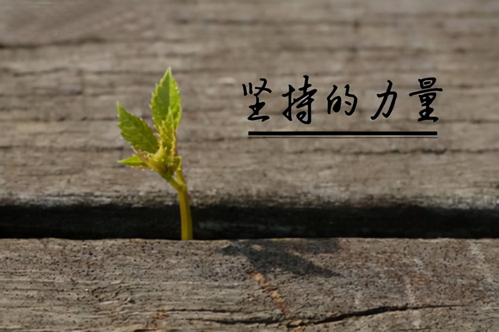 小学满分作文《成功,就在坚持之中》坚持到底,所向披靡