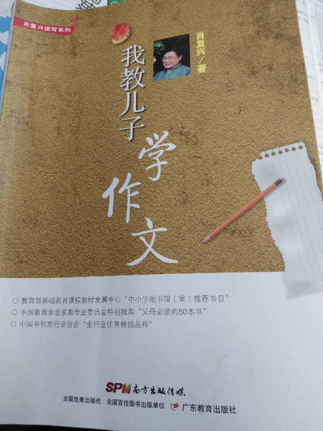 《我教儿子学作文》:我们都可以现学现用的亲子写作方法