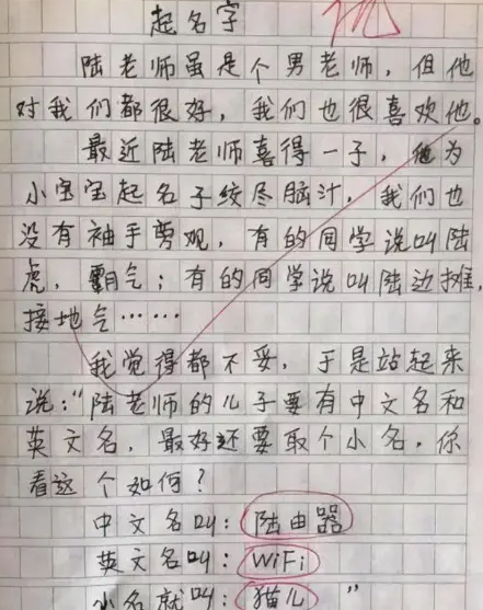 小学生大脑回路清奇，零分作文气坏老师，可把家长愁坏了