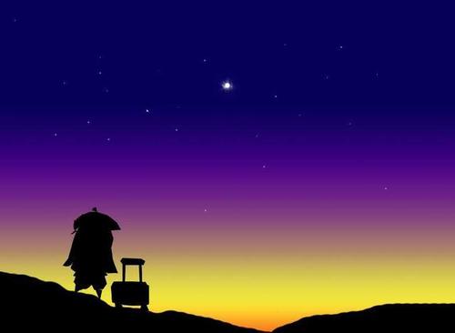 2020年沈阳市中考作文参考范文《智慧是我的启明星》