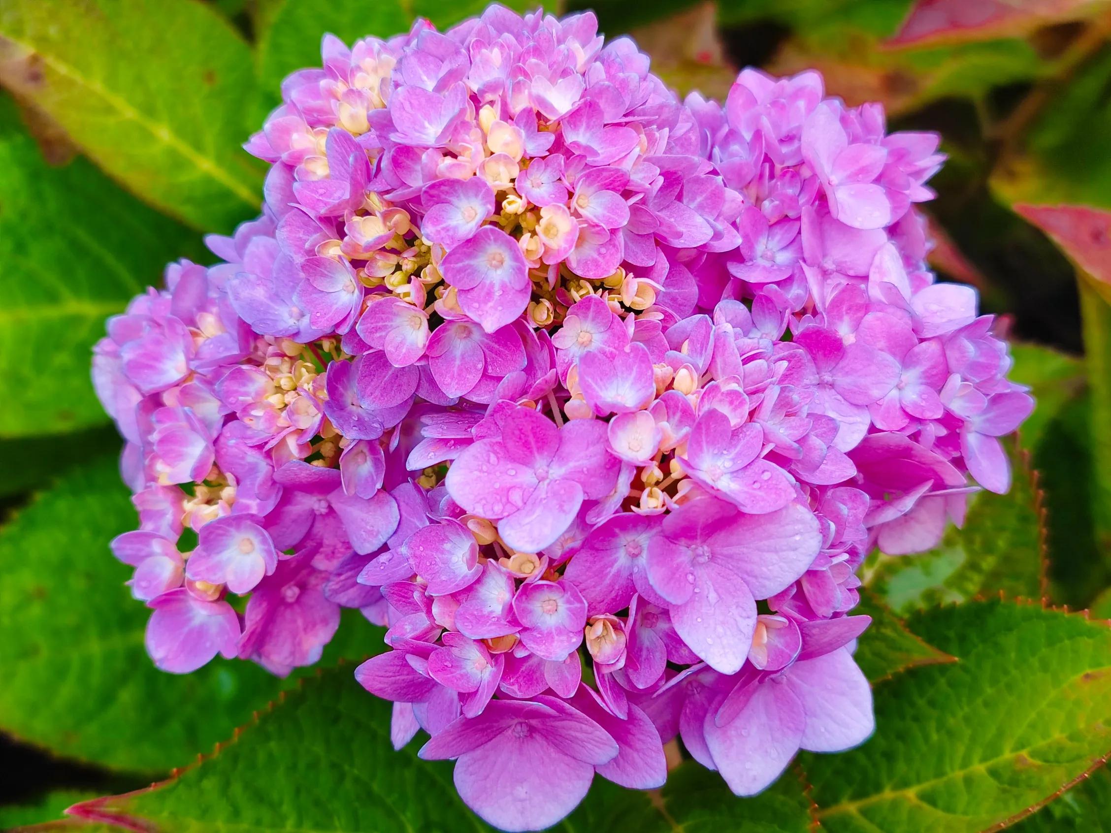 优秀作品：成长因为有你