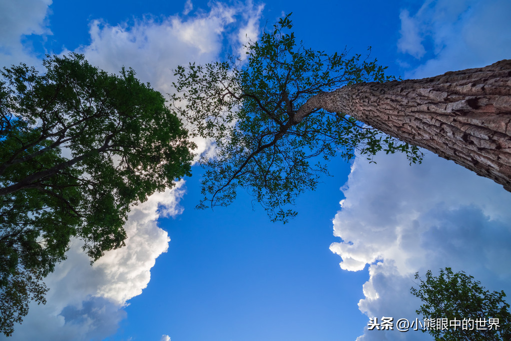 疫情面前，一个普通从业者的喜怒哀乐