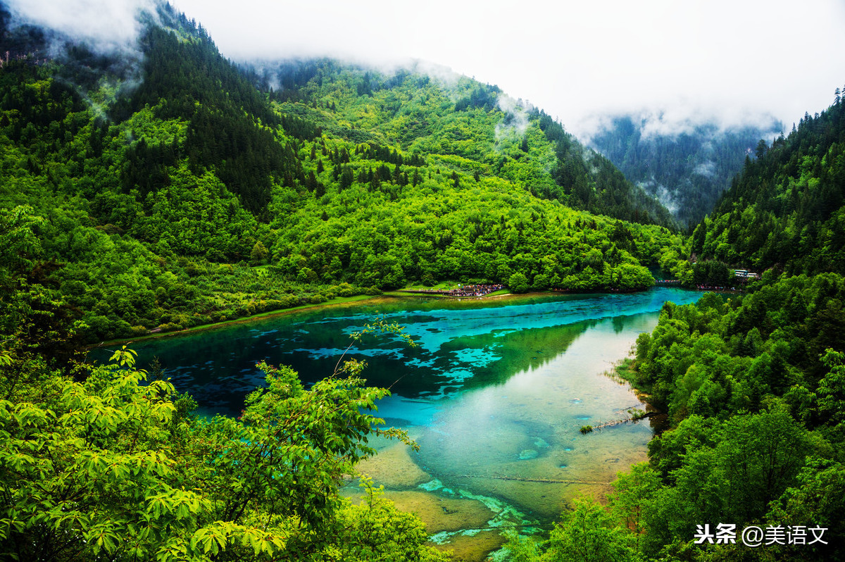 故事：热带雨林之旅