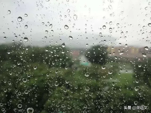 优秀习作--夏雨