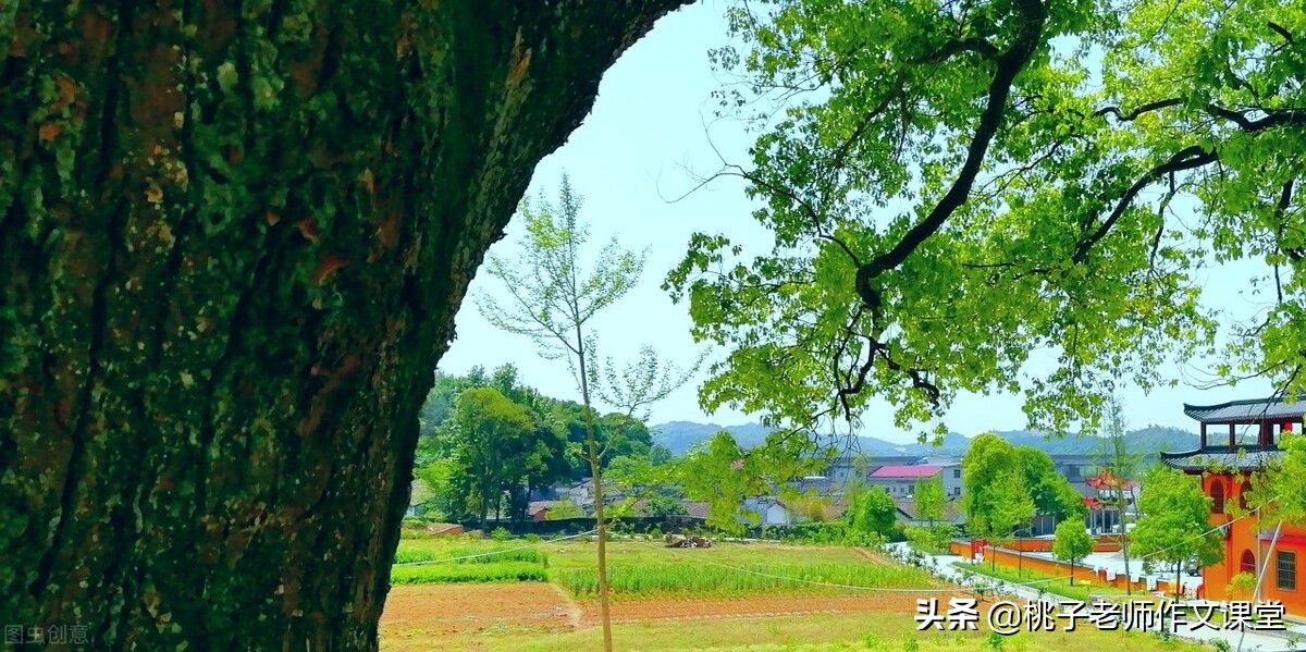 12节课让全部学生中考作文得高分！第四课——标题新颖，吸引目光