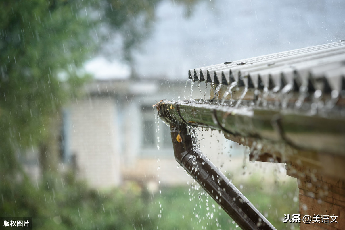 雨水的好处