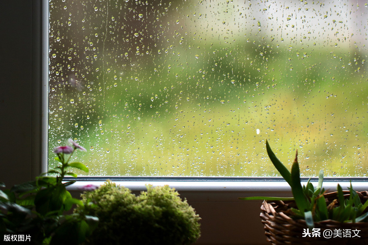 赏雨让生活更美好