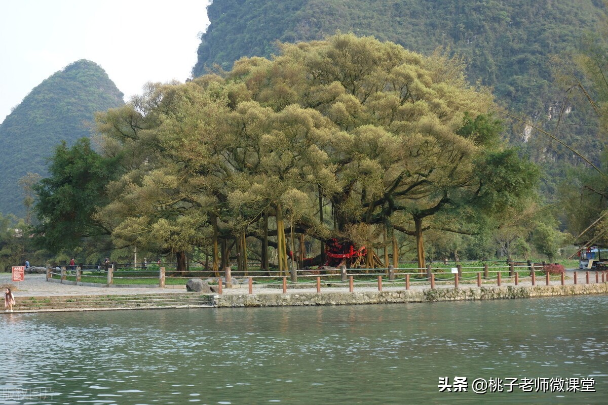 运用“写景万能公式”，美丽景色瞬间呈现在读者面前