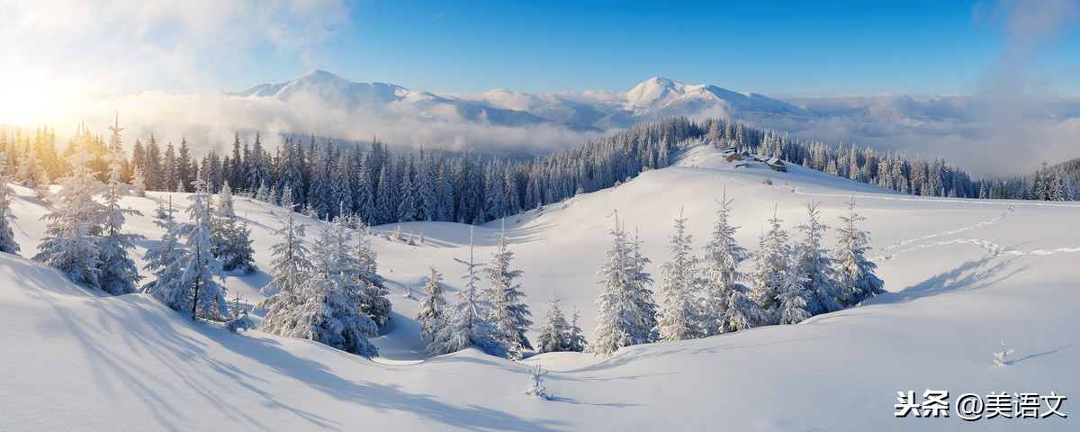 优秀习作---《雪中即景》