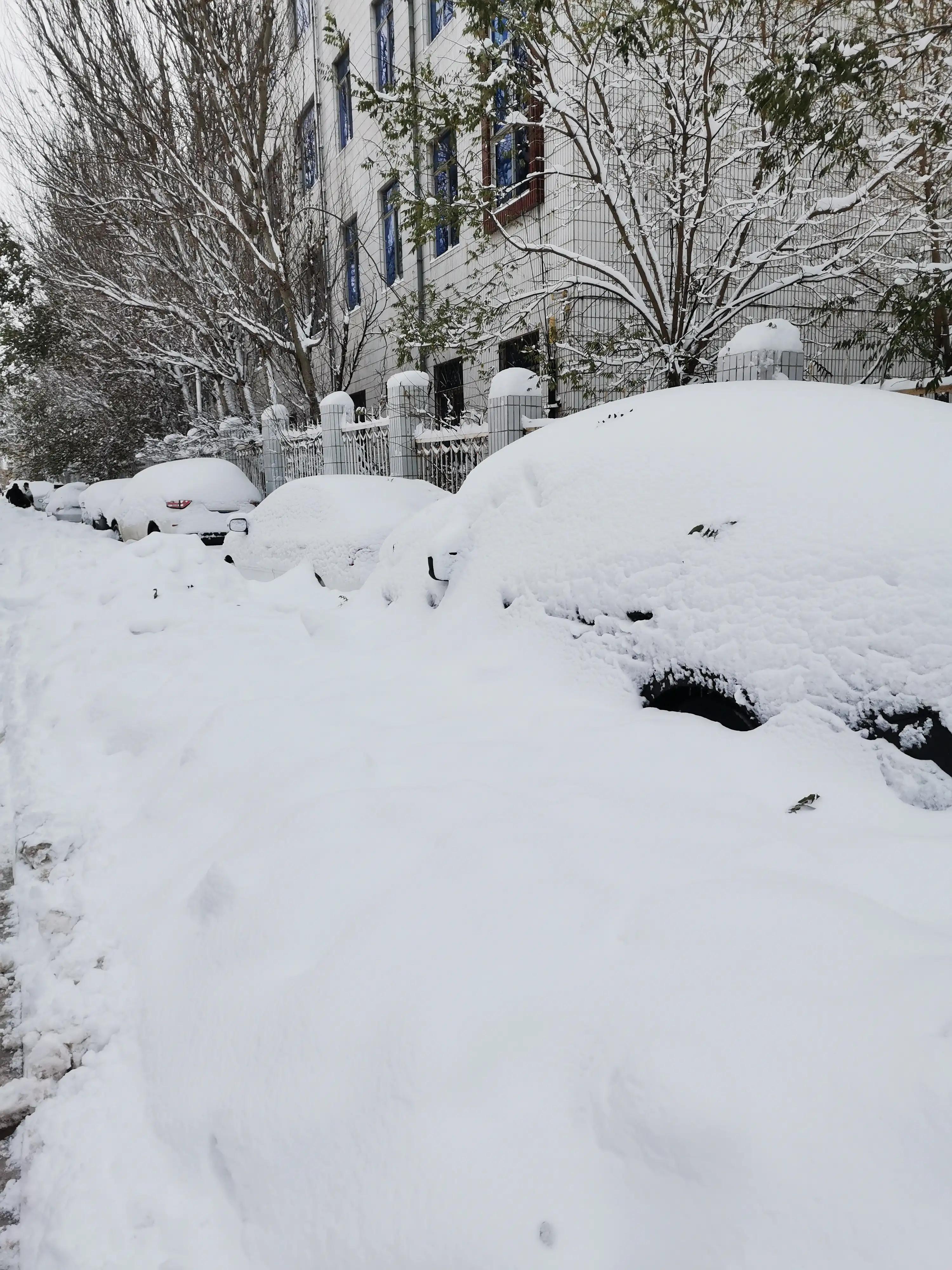 四年级作文《下雪了》这样写才出彩