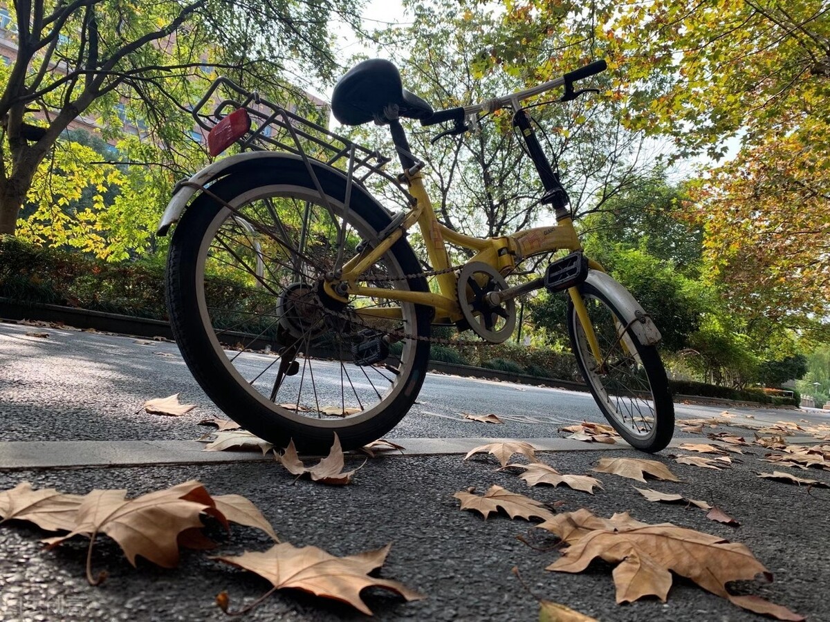 骑自行车作文800字《充满爱的自行车》-小学作文-电子课本网 骑自行车作文800字《充满爱的自行车》-小学作文