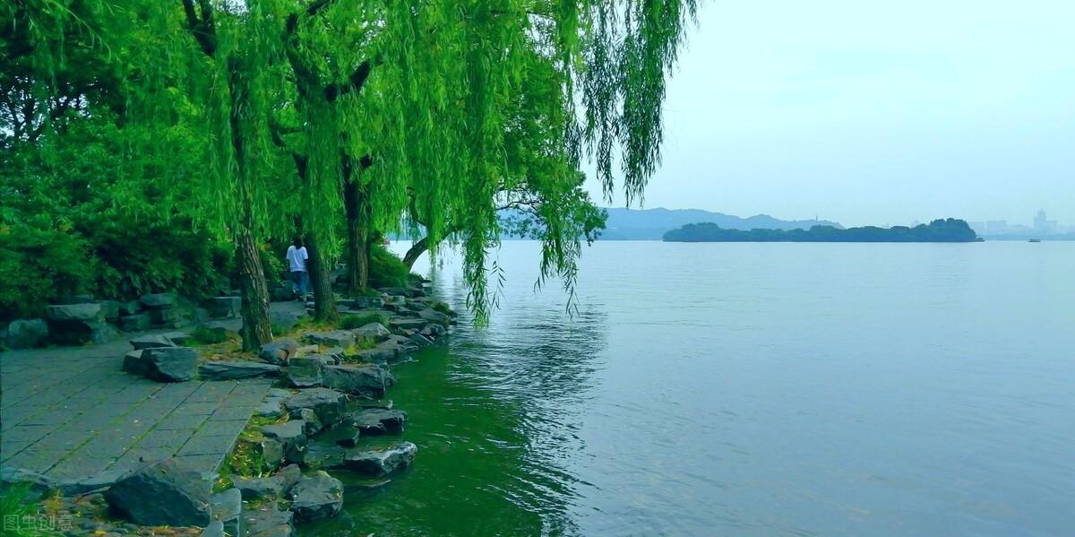 学会拒绝作文800字《那次,我学会了拒绝》