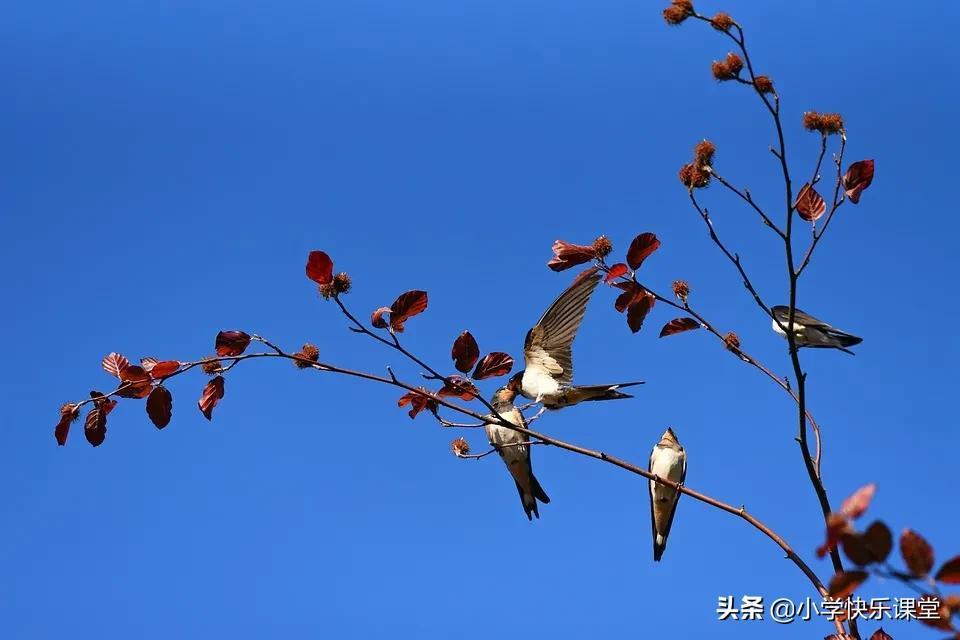 疫情作文300字优秀范文带标题