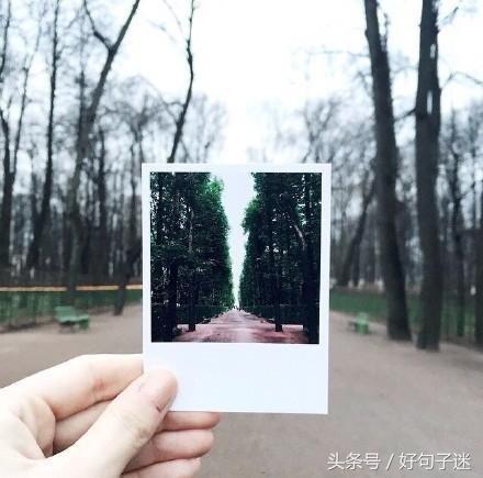 句句深入人心的经典句子(适合发朋友圈的简短励志句子)-小学作文-电子课本网 句句深入人心的经典句子(适合发朋友圈的简短励志句子)-小学作文