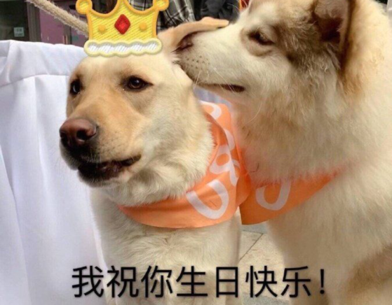 生日暖心八个字男女通用（生日短句8个字暖心的话）