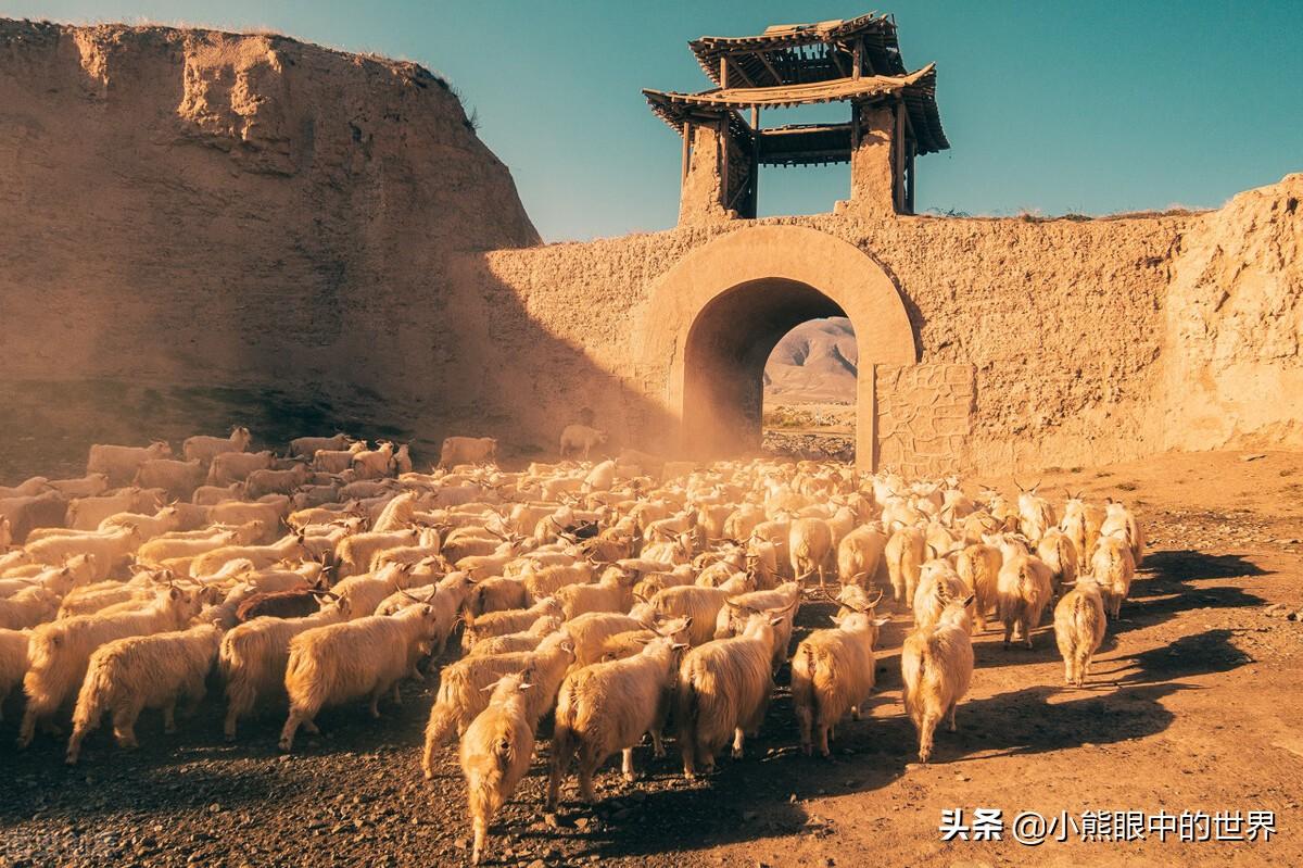 柯山梦小说《铁血残明》读后感（铁血残明好看吗，主要讲了什么内容？）