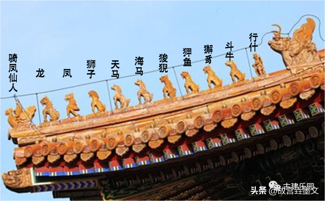 故宫博物院太和殿简介(太和殿的介绍与历史)