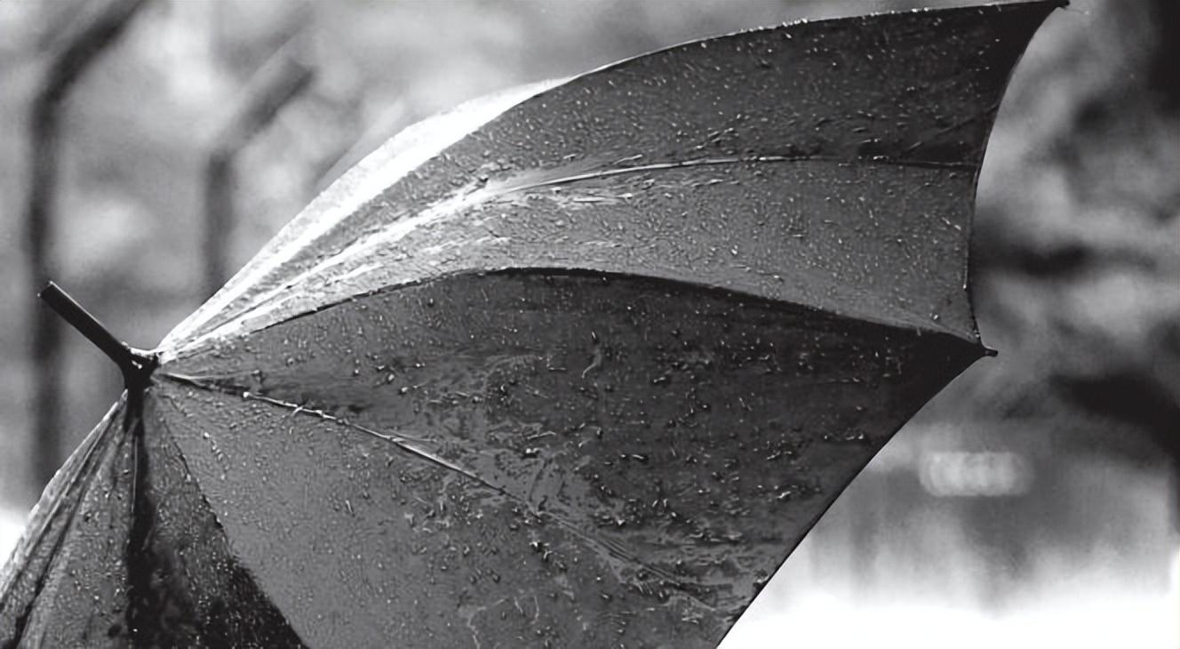 故乡的作文1000字原创优秀（有家的地方，就是故乡）