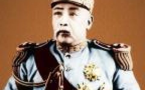 袁世凯简介及生平事迹（袁世凯儿女简介）