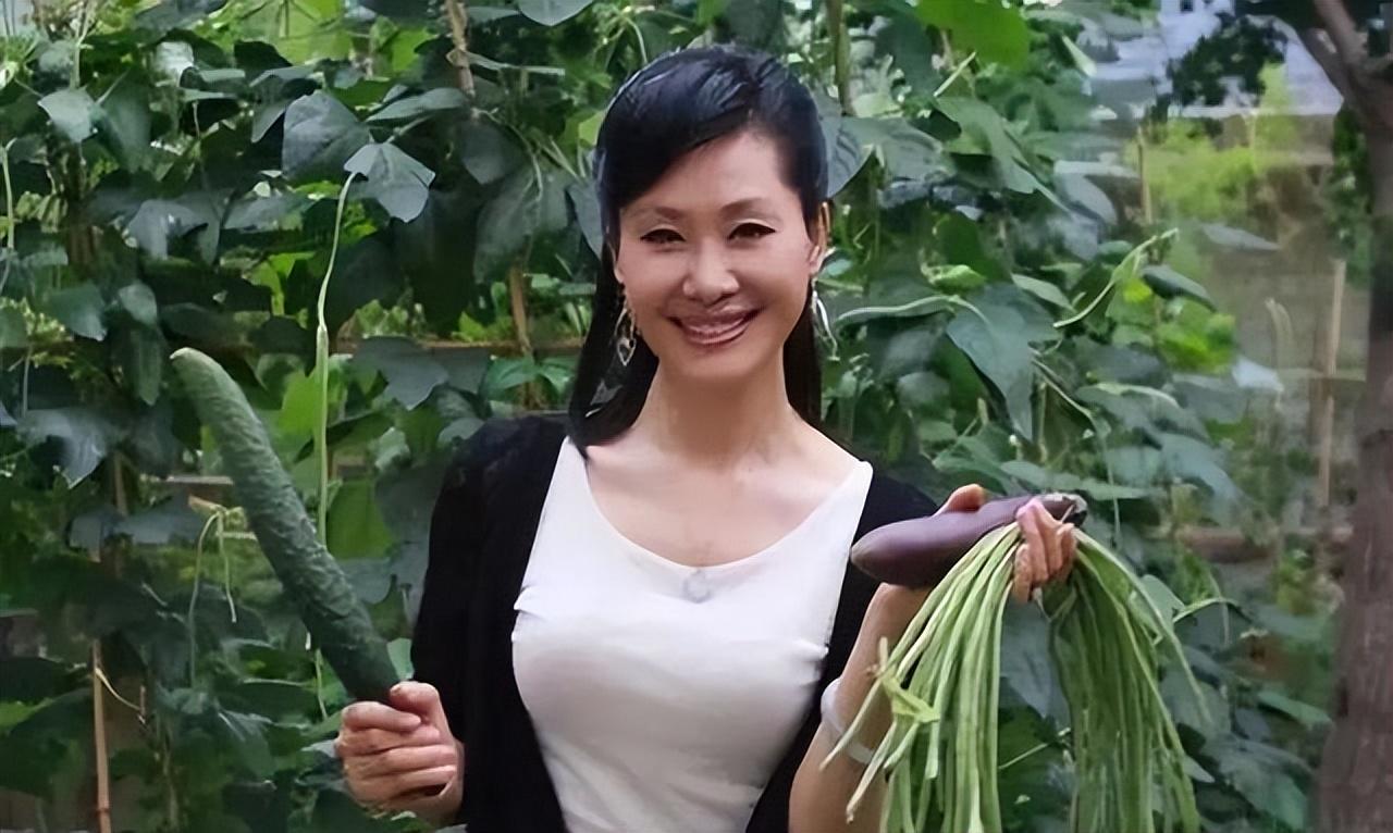 于文华个人资料简介图片(歌唱家于文华老家是哪里)