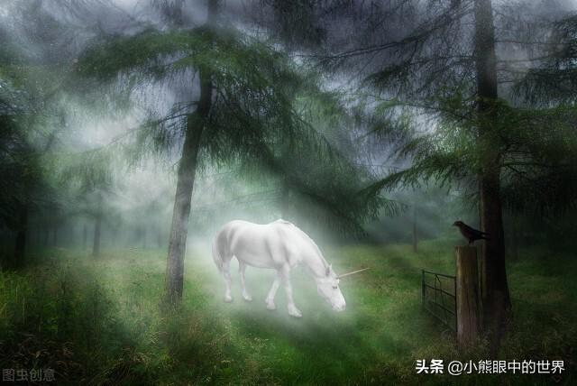 阎ZK小说《镇妖博物馆》读后感（镇妖博物馆好看吗，主要讲了什么内容？）