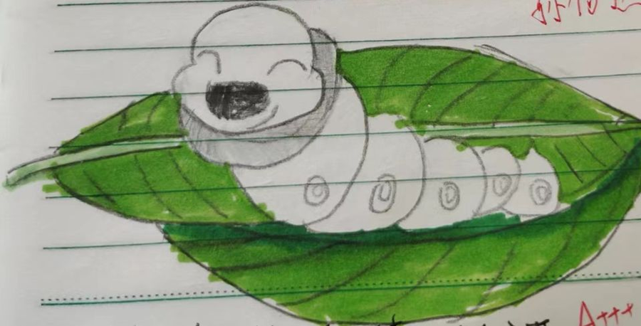 养蚕作文600字小学范文《我和我的蚕宝宝》-小学作文-电子课本网 养蚕作文600字小学范文《我和我的蚕宝宝》-小学作文